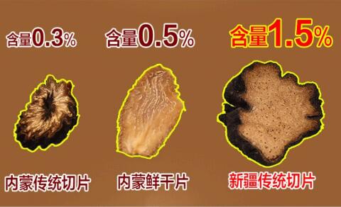 肉苁蓉 肉苁蓉