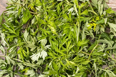 image 艾草