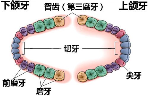冠周炎 冠周炎